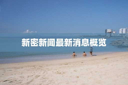 新密新闻最新消息概览