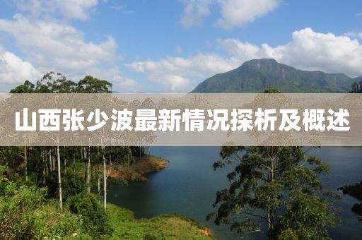 山西张少波最新情况探析及概述