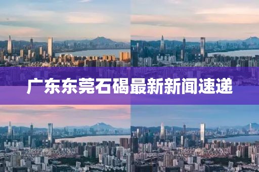 2024年12月 第42页