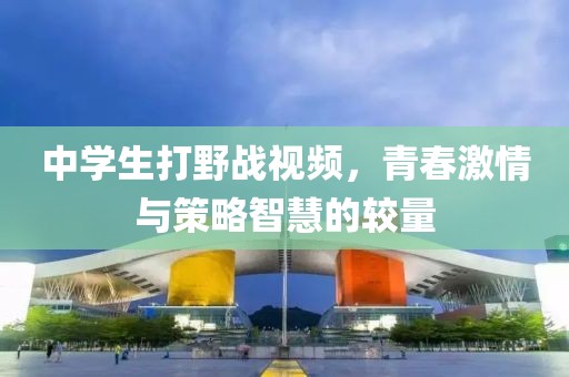 中学生打野战视频，青春激情与策略智慧的较量