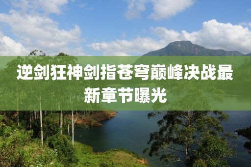 逆剑狂神剑指苍穹巅峰决战最新章节曝光