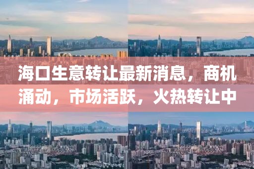 海口生意转让最新消息，商机涌动，市场活跃，火热转让中