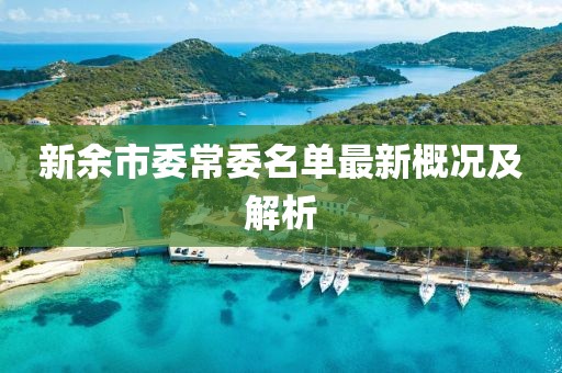 新余市委常委名单最新概况及解析
