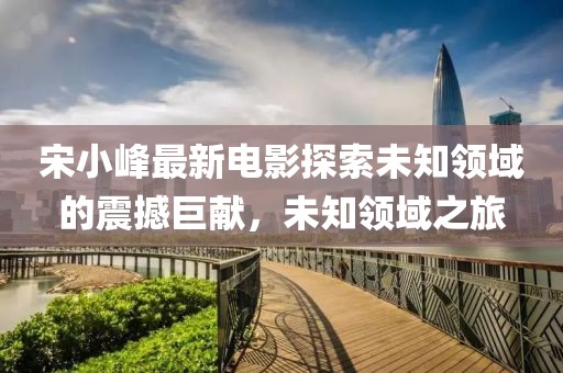 宋小峰最新电影探索未知领域的震撼巨献，未知领域之旅