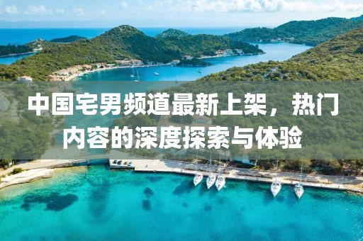 中国宅男频道最新上架，热门内容的深度探索与体验