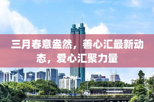 三月春意盎然，善心汇最新动态，爱心汇聚力量