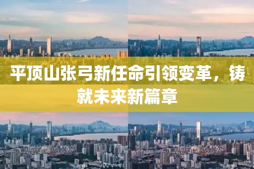 平顶山张弓新任命引领变革，铸就未来新篇章