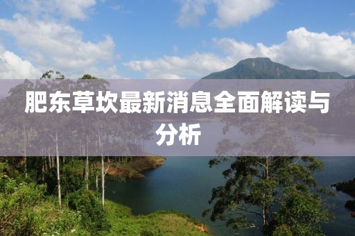 肥东草坎最新消息全面解读与分析