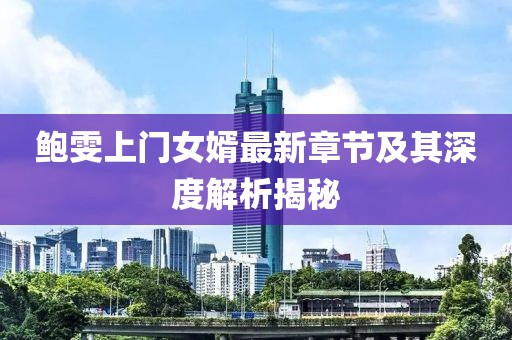 鲍雯上门女婿最新章节及其深度解析揭秘