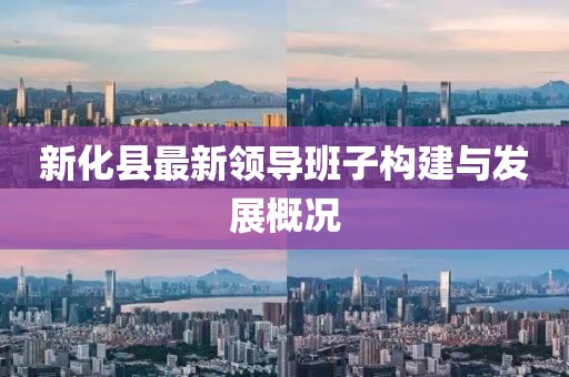 新化县最新领导班子构建与发展概况