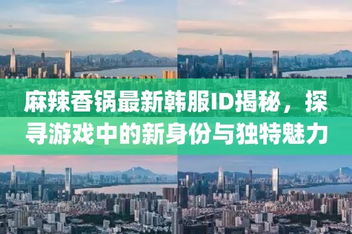 麻辣香锅最新韩服ID揭秘，探寻游戏中的新身份与独特魅力