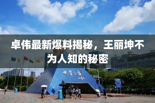 卓伟最新爆料揭秘，王丽坤不为人知的秘密