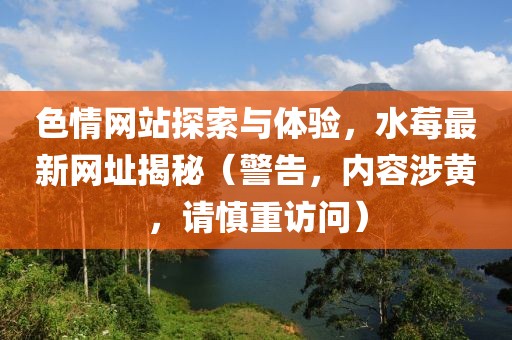 色情网站探索与体验，水莓最新网址揭秘（警告，内容涉黄，请慎重访问）
