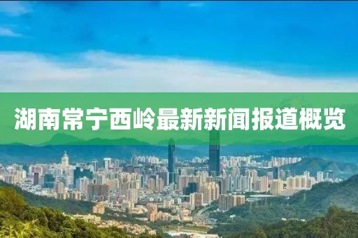 湖南常宁西岭最新新闻报道概览
