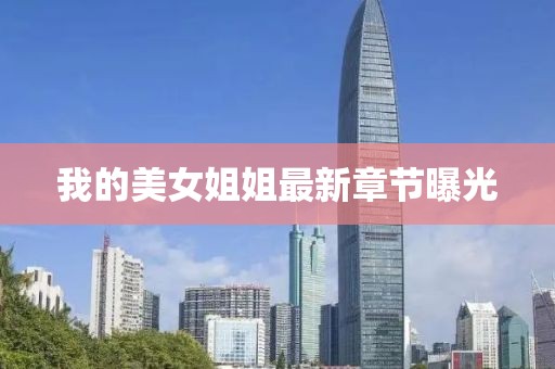 我的美女姐姐最新章节曝光