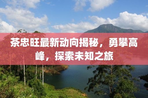 茶忠旺最新动向揭秘，勇攀高峰，探索未知之旅