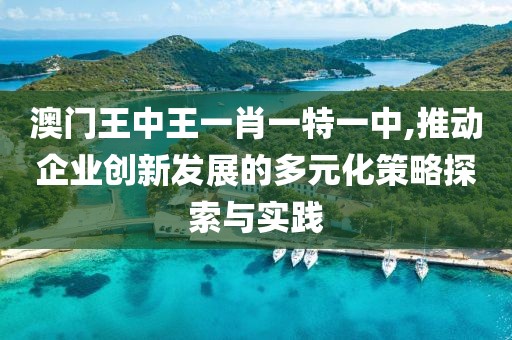 澳门王中王一肖一特一中,推动企业创新发展的多元化策略探索与实践
