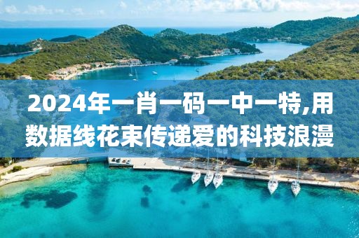 2024年一肖一码一中一特,用数据线花束传递爱的科技浪漫