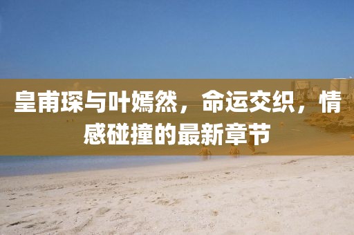 皇甫琛与叶嫣然，命运交织，情感碰撞的最新章节