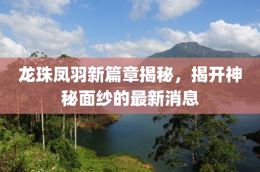 龙珠凤羽新篇章揭秘，揭开神秘面纱的最新消息