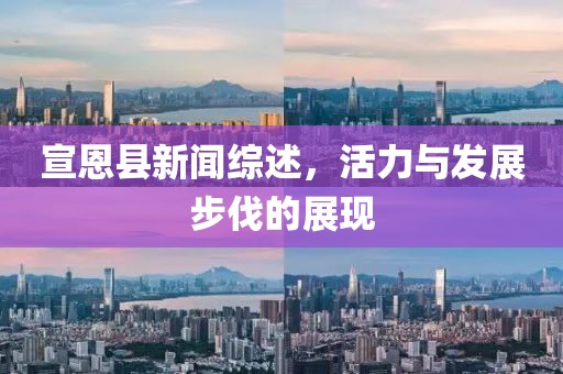 宣恩县新闻综述，活力与发展步伐的展现