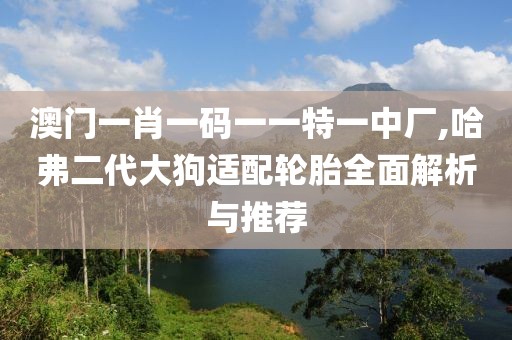 澳门一肖一码一一特一中厂,哈弗二代大狗适配轮胎全面解析与推荐