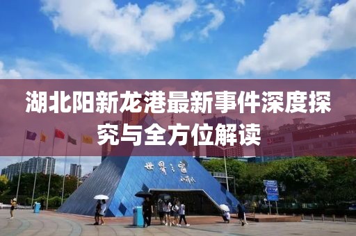 湖北阳新龙港最新事件深度探究与全方位解读