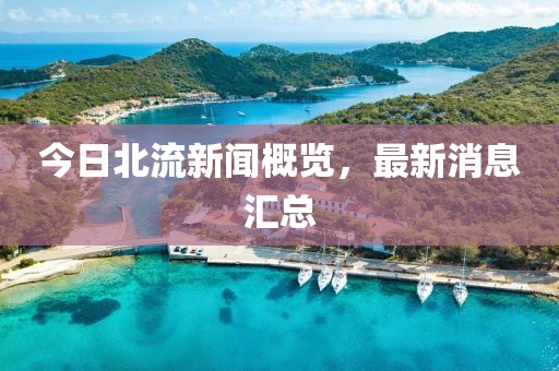 今日北流新闻概览，最新消息汇总