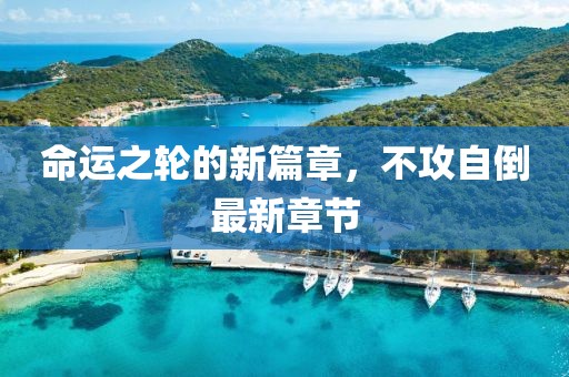 命运之轮的新篇章，不攻自倒最新章节