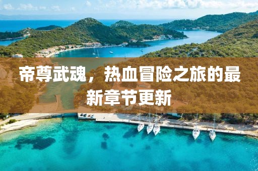帝尊武魂，热血冒险之旅的最新章节更新