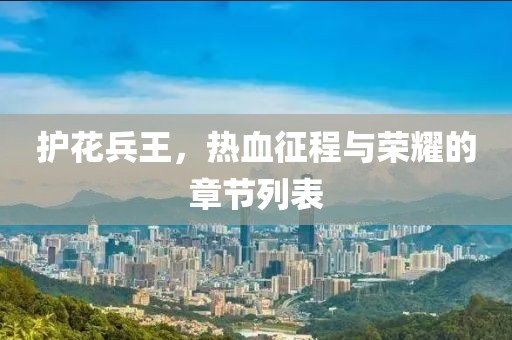 护花兵王，热血征程与荣耀的章节列表