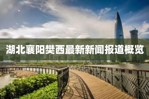 湖北襄阳樊西最新新闻报道概览