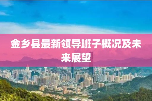 金乡县最新领导班子概况及未来展望