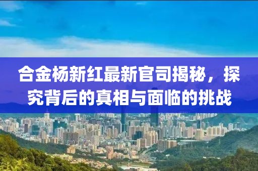合金杨新红最新官司揭秘，探究背后的真相与面临的挑战