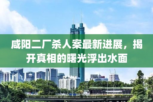 咸阳二厂杀人案最新进展，揭开真相的曙光浮出水面
