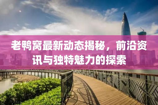 老鸭窝最新动态揭秘，前沿资讯与独特魅力的探索