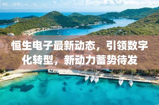 恒生电子最新动态，引领数字化转型，新动力蓄势待发