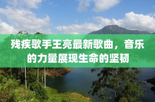 残疾歌手王亮最新歌曲，音乐的力量展现生命的坚韧