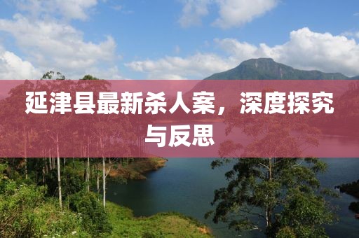 延津县最新杀人案，深度探究与反思