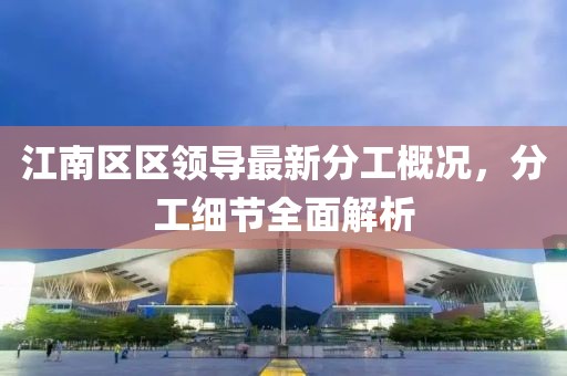 江南区区领导最新分工概况，分工细节全面解析