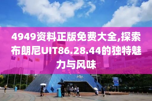 4949资料正版免费大全,探索布朗尼UIT86.28.44的独特魅力与风味