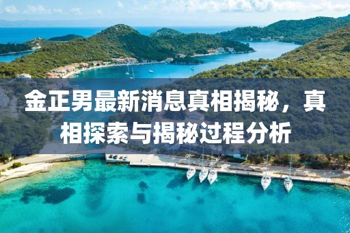 金正男最新消息真相揭秘，真相探索与揭秘过程分析