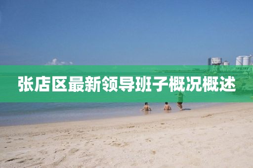 张店区最新领导班子概况概述
