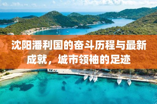 沈阳潘利国的奋斗历程与最新成就，城市领袖的足迹