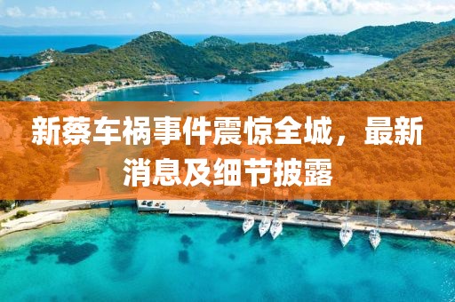 新蔡车祸事件震惊全城，最新消息及细节披露