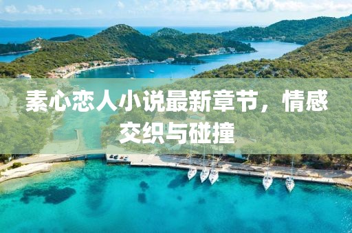 素心恋人小说最新章节，情感交织与碰撞