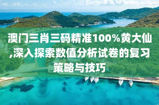 澳门三肖三码精准100%黄大仙,深入探索数值分析试卷的复习策略与技巧