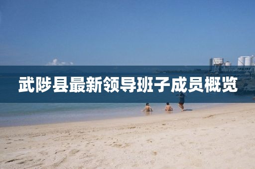 武陟县最新领导班子成员概览
