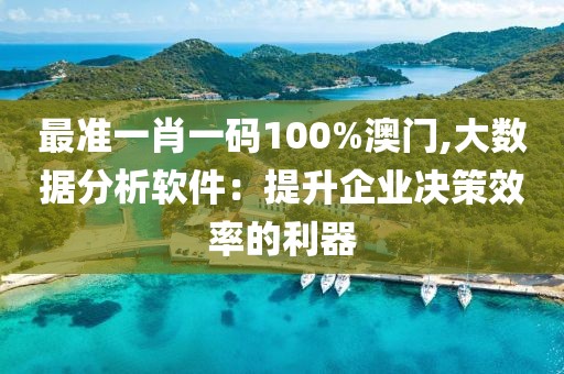 最准一肖一码100%澳门,大数据分析软件：提升企业决策效率的利器