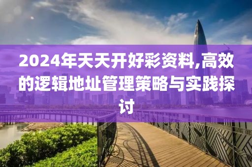2024年天天开好彩资料,高效的逻辑地址管理策略与实践探讨